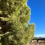 Hostel Onda-ribesalbes Hostel&suites