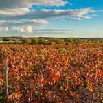 Onda-ribesalbes Hostel&suites * Ribesalbes